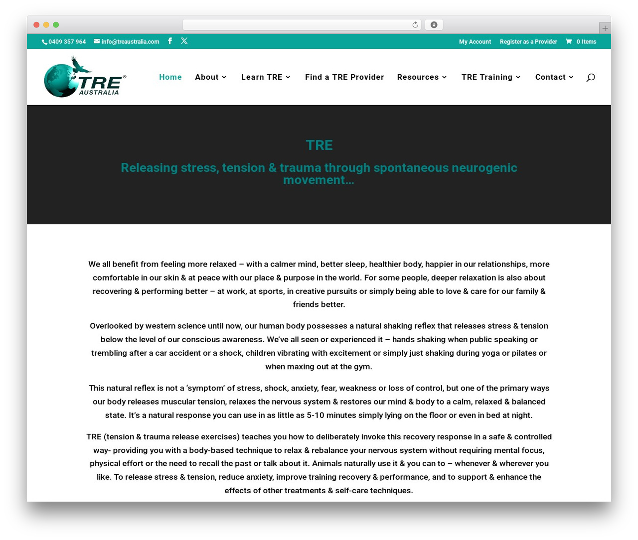 Divi Child theme WordPress - treaustralia.com Divi Child theme WordPress - treaustralia.com