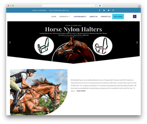 OceanWP WordPress theme - reliable-export.com