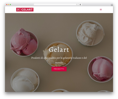 WordPress theme Divi - biogelart.com