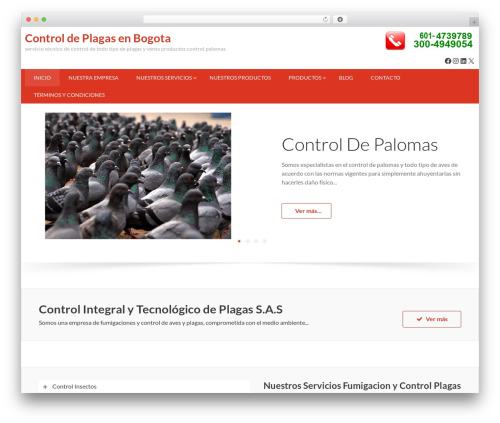 Accesspress Basic WordPress page theme - controlplagasit.com