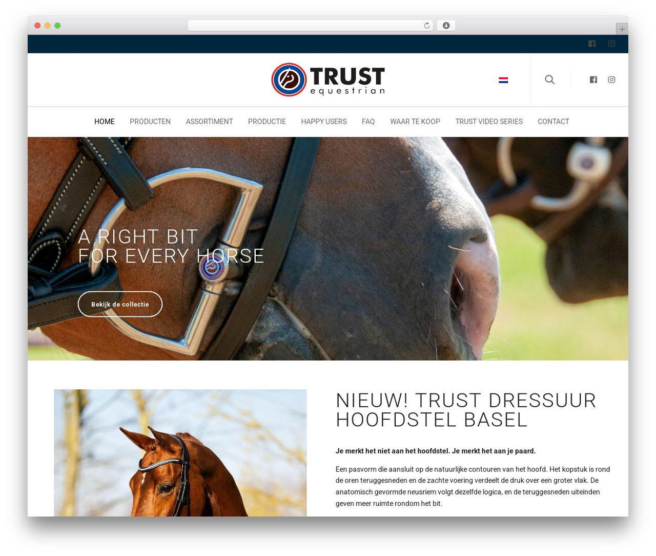 Atelier theme WordPress - trust-equestrian.com