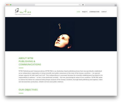 Global scripts WordPress plugin - wtmpublishing.com