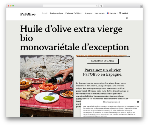 Twint woocommerce extension WordPress plugin - palolivo.com