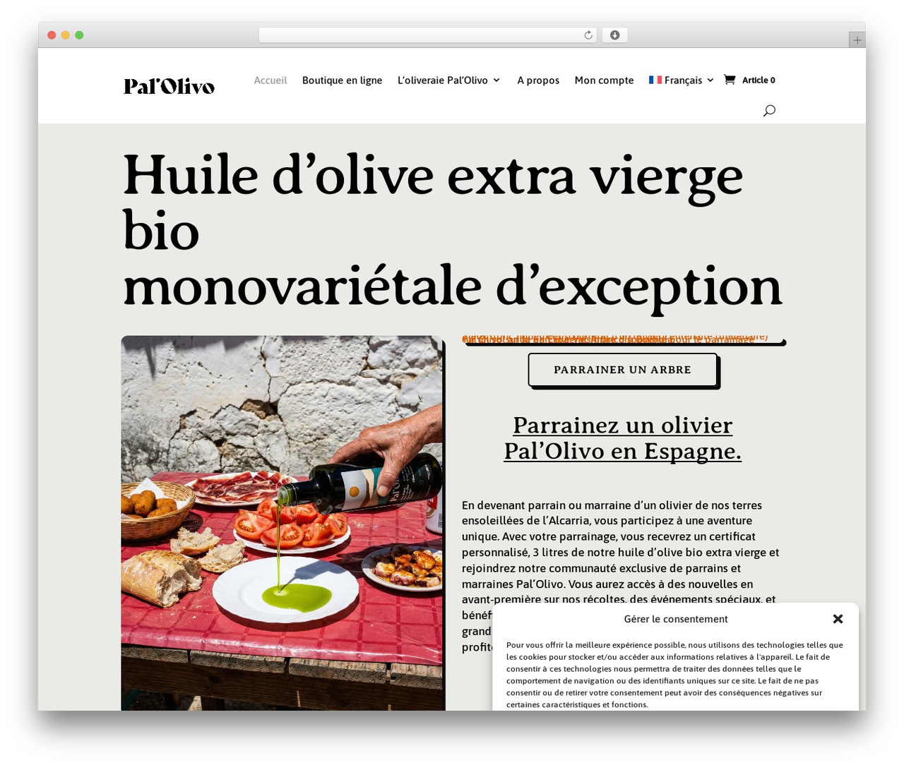 Divi WordPress theme - palolivo.com Divi WordPress theme - palolivo.com