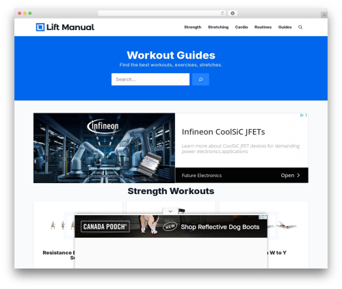 Ad inserter pro WordPress plugin - liftmanual.com