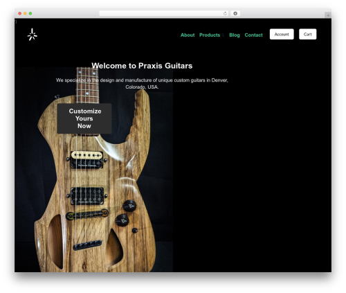 Product Pre-Orders for WooCommerce (product-pre-orders-for-woo) free WordPress plugin - praxisguitars.com