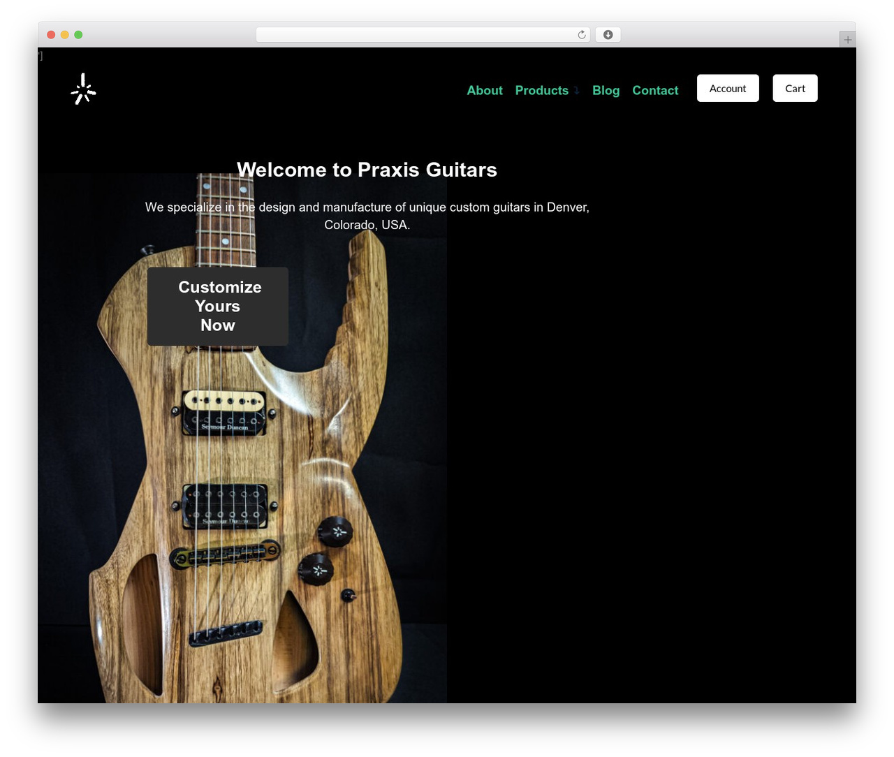 Theme WordPress Pro - praxisguitars.com Theme WordPress Pro - praxisguitars.com