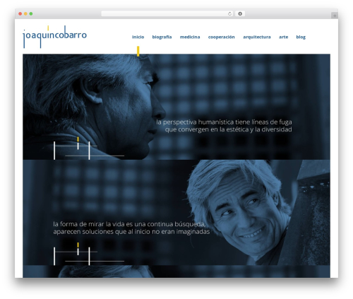 WordPress theme BaseTheme - joaquincobarro.com