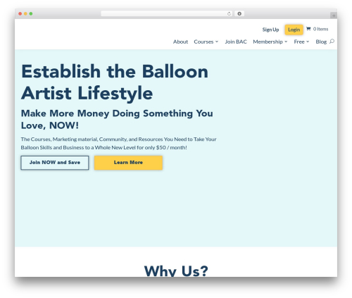 Woocommerce fast cart WordPress plugin - balloonartistcollege.com