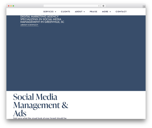 Inavii social feed for elementor WordPress plugin - maxddigital.com