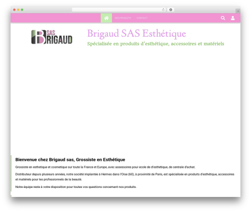 6temflex theme WordPress - brigaudesthetique.com