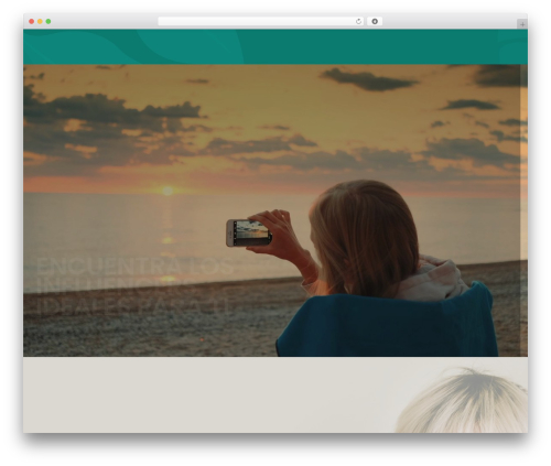 Neuron core bifrost WordPress plugin - spiksy.info