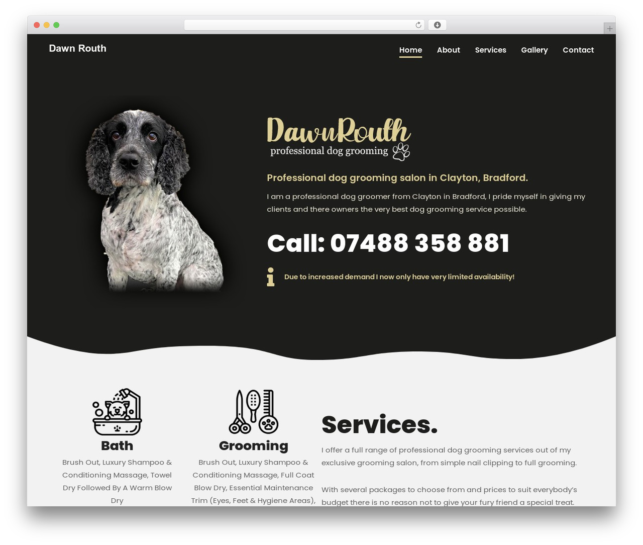 WordPress theme Bricks - dawnrouth.co.uk WordPress theme Bricks - dawnrouth.co.uk