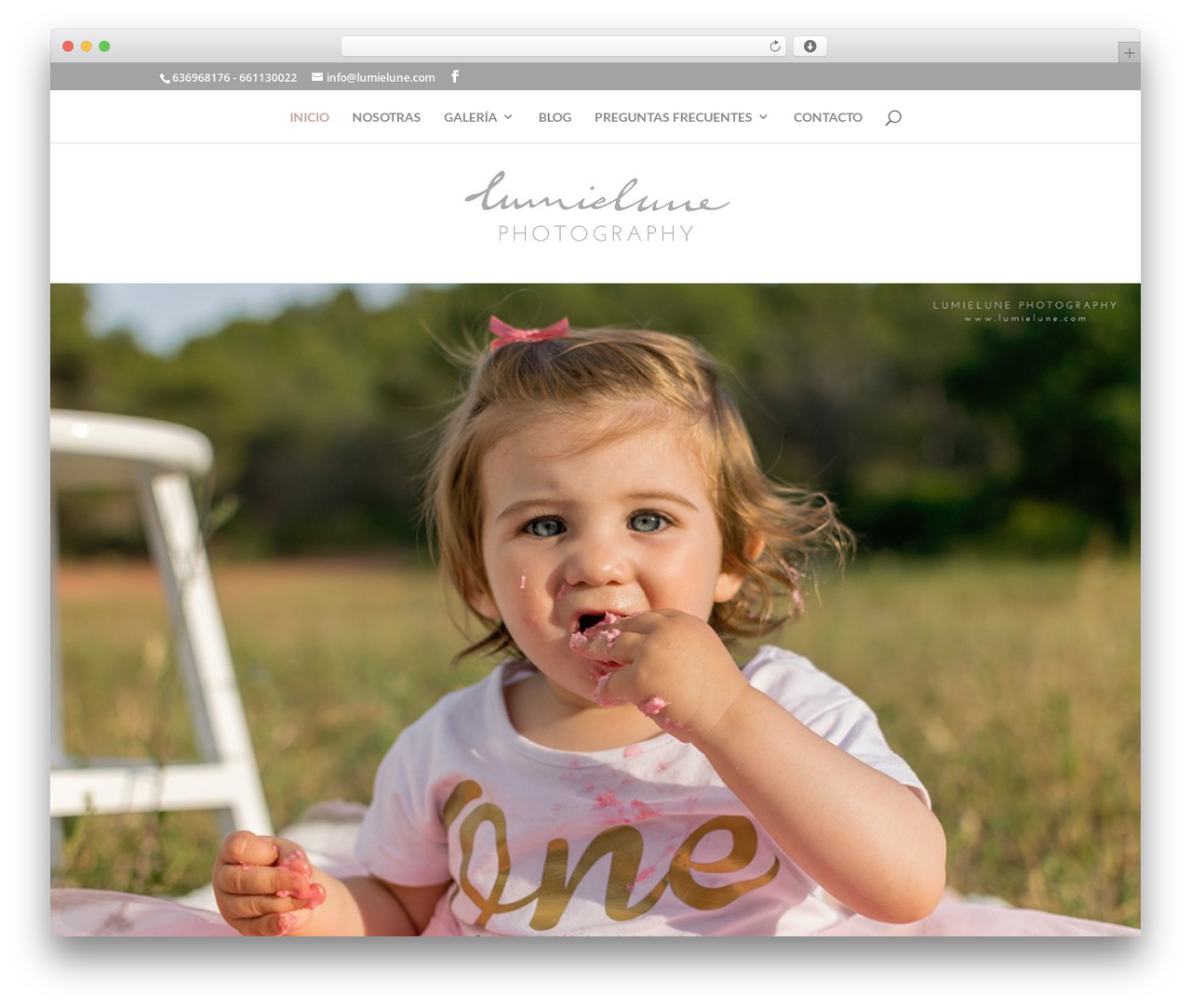WordPress theme Divi - lumielune.com