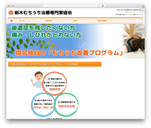 WordPress theme Lightning - totigi-mutiuti.com
