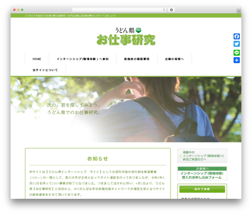 WordPress theme responsive_252 - try-intern.com