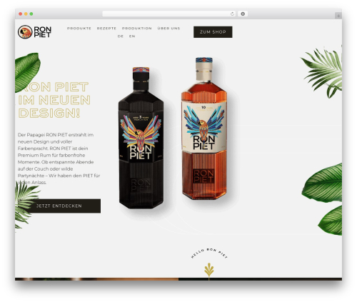 2CONCEPTS theme WordPress - ronpiet.de
