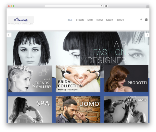 cherry WordPress theme - facelookhairdesigner.com