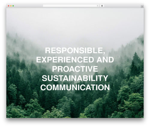 Divi theme WordPress - thepragency.co.za