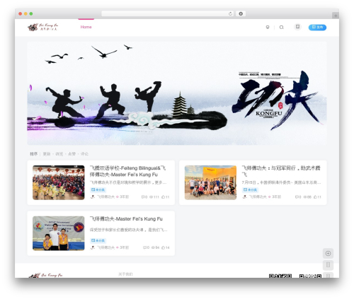 Theme WordPress 子比主题 - feisifukungfu.com