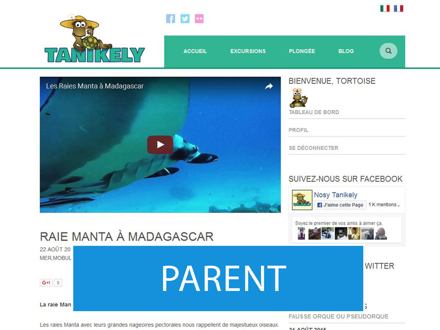 Theme WordPress Diving by NetBusinessAgent