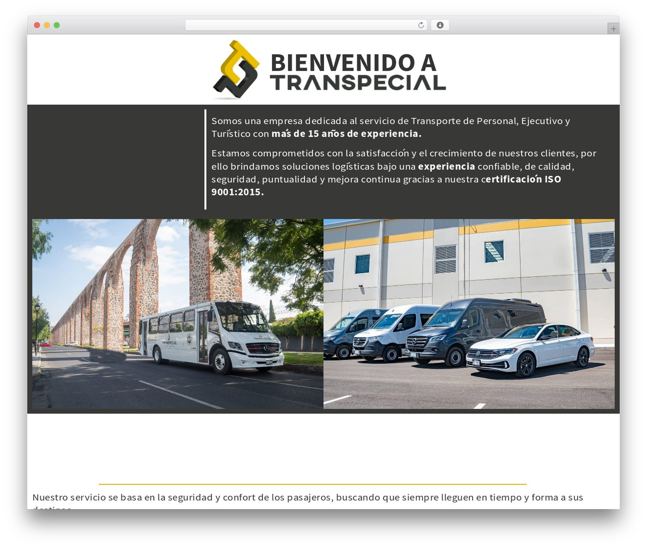 Theme WordPress Hello Elementor - transpecial.com