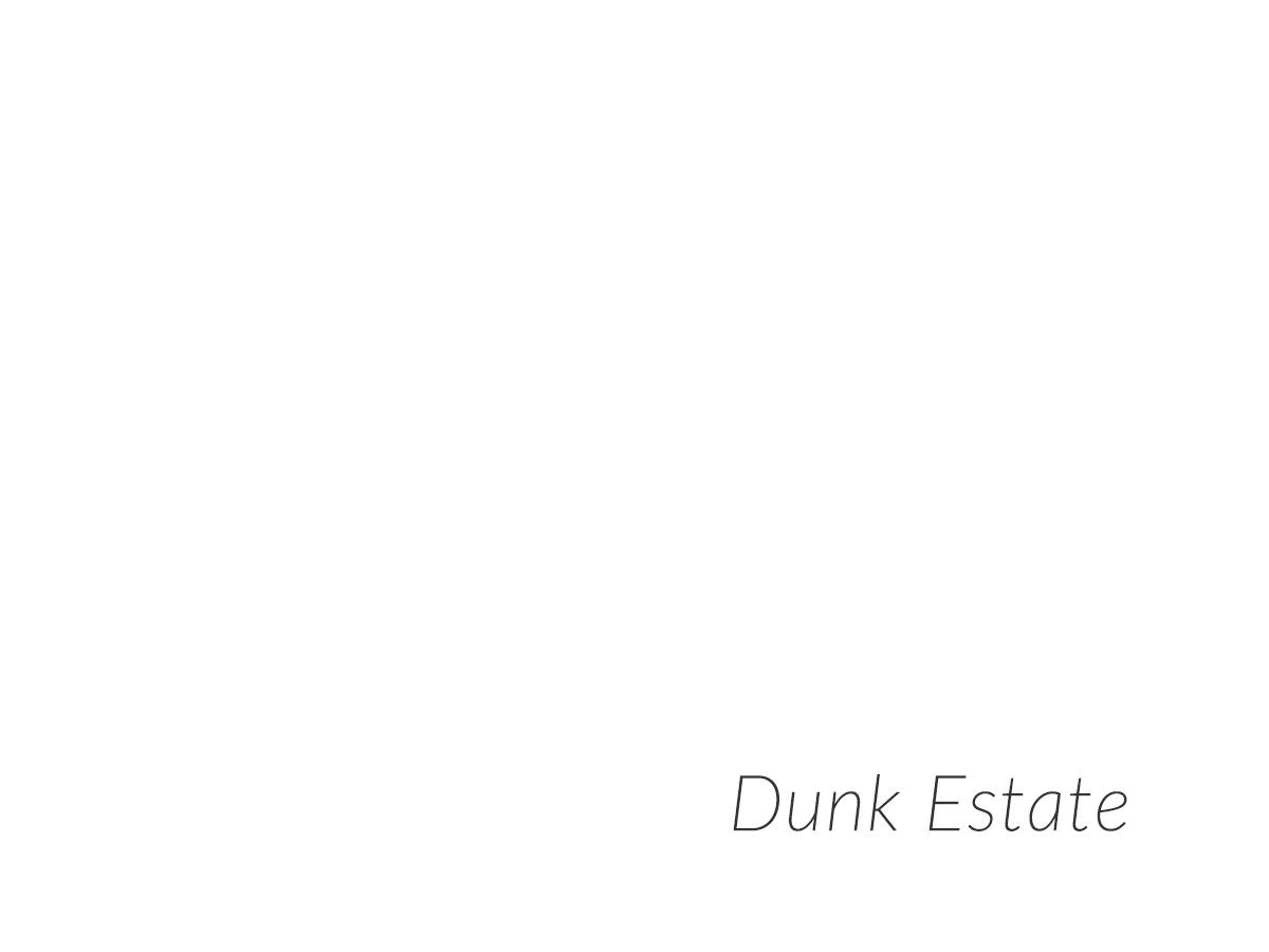 dunk WordPress theme by Bricktheme & BigLayers Studios