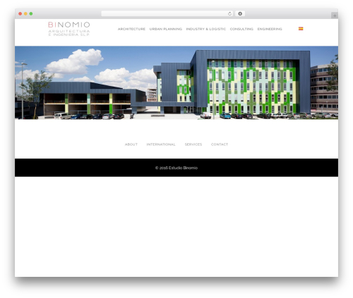 Themewich shortcodes WordPress plugin - estudiobinomio.com