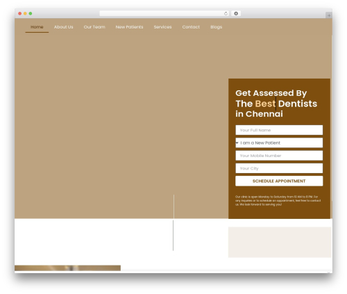Salient widgets WordPress plugin - alphadentalstudios.com