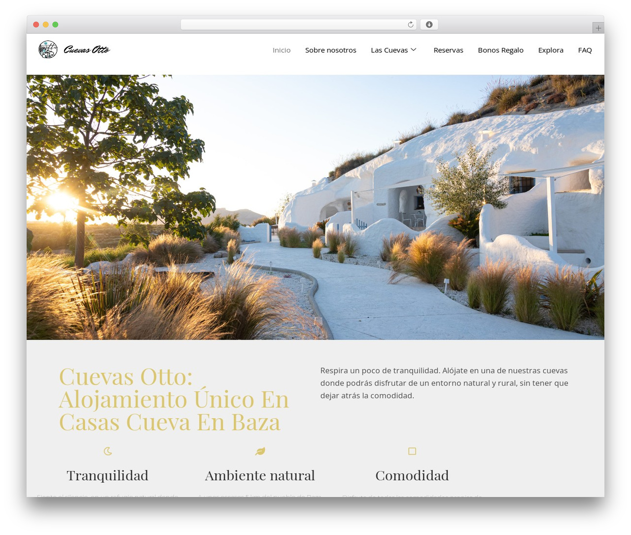 WordPress theme OceanWP - cuevasotto.com WordPress theme OceanWP - cuevasotto.com