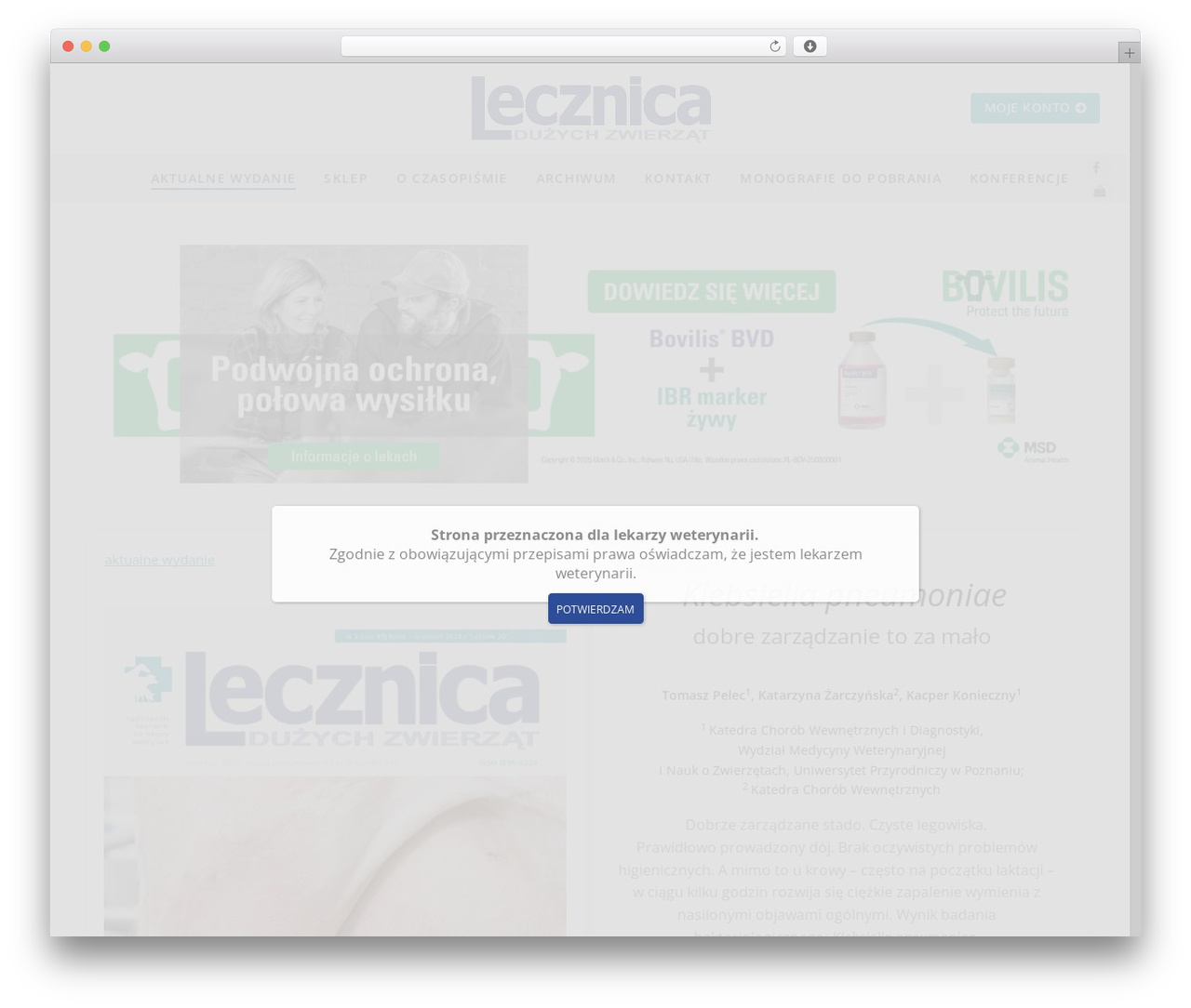 Customify theme WordPress - lecznica-online.pl