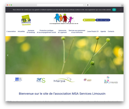 Hello Elementor WordPress theme - limousin-msaservices.fr