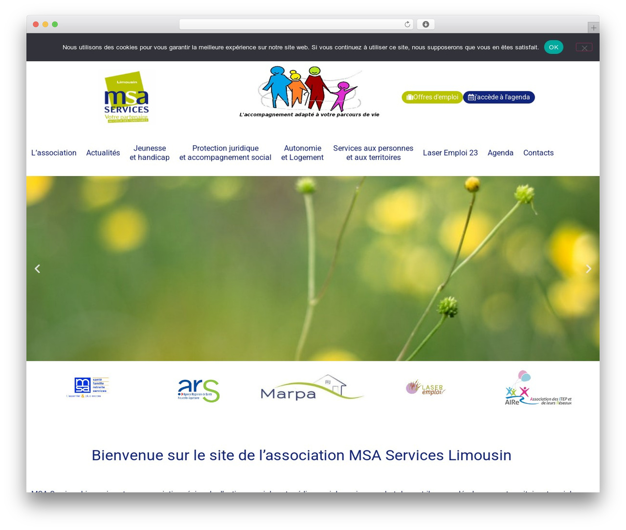Hello Elementor WordPress theme - limousin-msaservices.fr