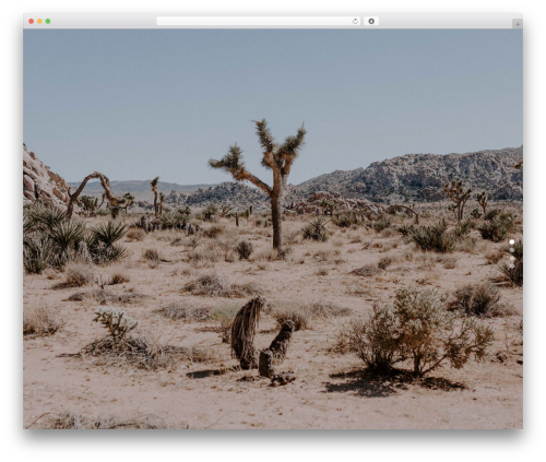 Mcw fullpage elementor WordPress plugin - edgarheinelt.de
