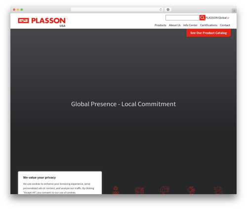 Starter Template best WordPress theme - plassonusa.com