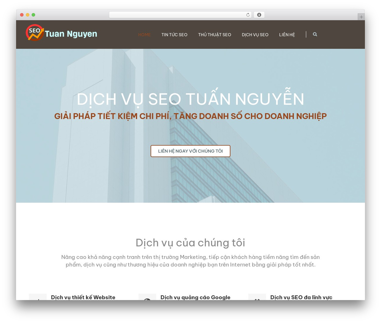 Multidot WordPress theme - dichvulamseo.net