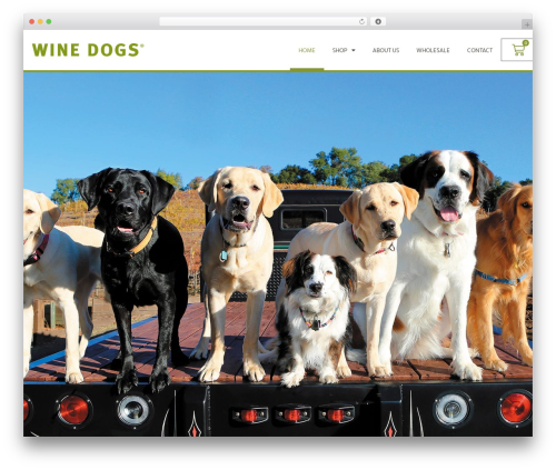 Wc aelia foundation classes WordPress plugin - winedogs.com