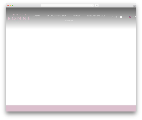 Tp add on automatic language detection WordPress plugin - mariebonne.pt