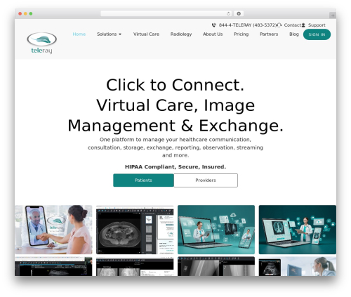 Bbh custom schema WordPress plugin - teleray.com