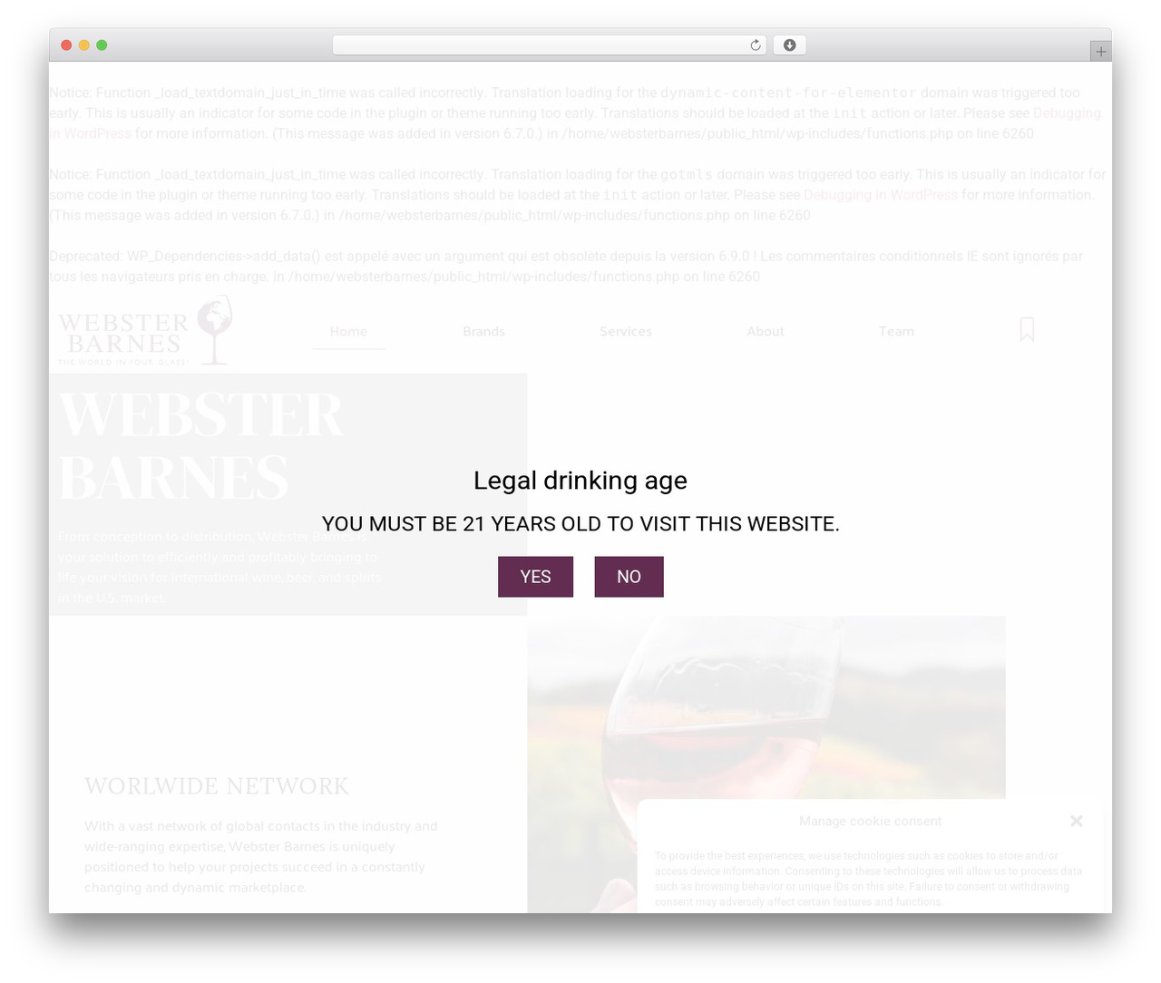 Hello Elementor WordPress website theme - websterbarnes.com Hello Elementor WordPress website theme - websterbarnes.com