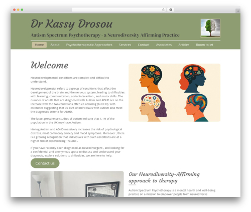 Themify Basic company WordPress theme - autismspectrum-psychotherapy.com