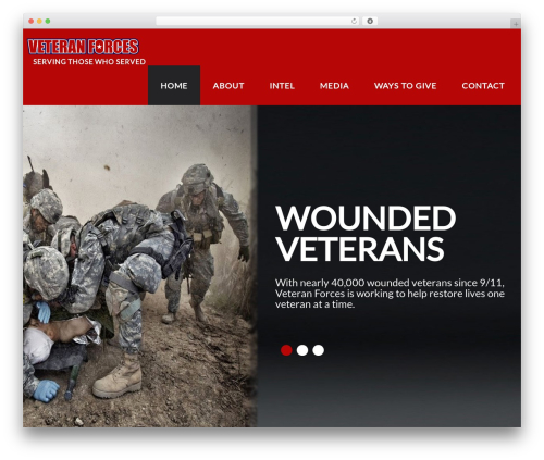 Cherry lazy load WordPress plugin - veteranforces.com