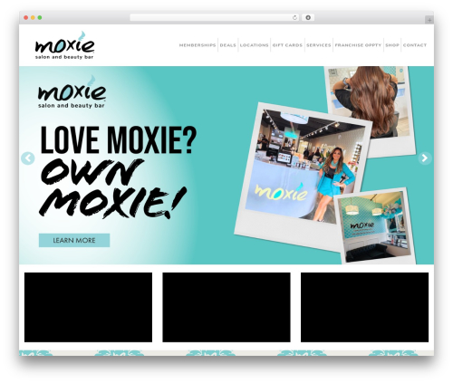 Mega Theme best WordPress theme - moxiesalonandbeautybar.com