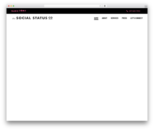 Category posts shortcode WordPress plugin - thesocialstatusco.com