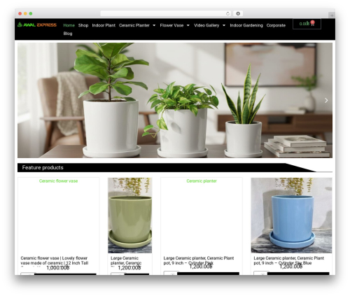 Wp rocket_old WordPress plugin - awalexpressbd.com
