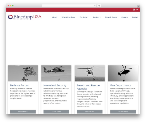 Animated Number Counters (animated-number-counters) free WordPress plugin - bluedropusa.com