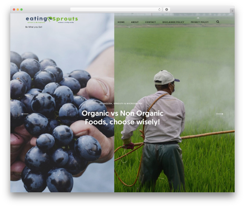 Ippo theme WordPress - eatingsprouts.com