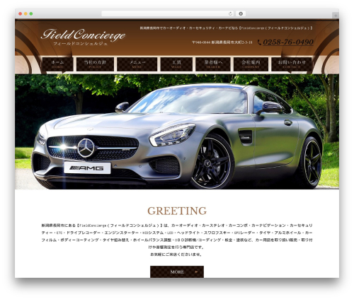 Theme WordPress Themify Basic - fieldconcierge.com