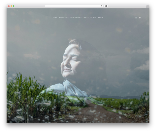 Imaginem blocks WordPress plugin - williamdaniels.net