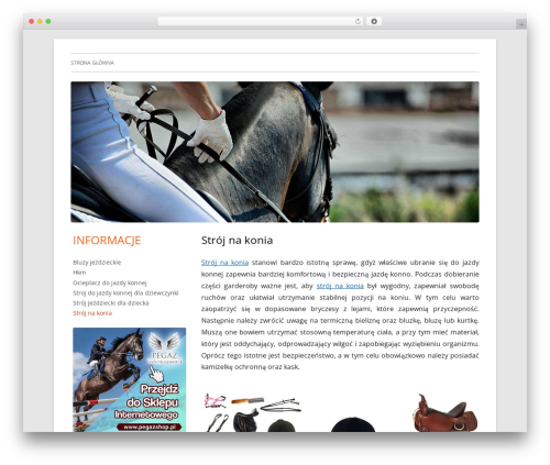 Tiny Framework WordPress theme - stroj-na-konia.pl Tiny Framework WordPress theme - stroj-na-konia.pl